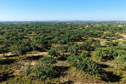 Herdade à venda em En s/n