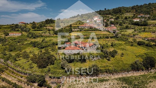 Resende, Viseu
