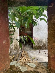 Moradia independente à venda em São Salvador da Aramenha