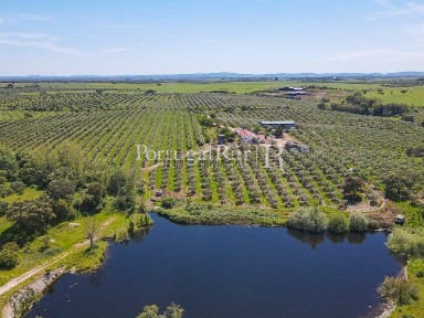 Herdade à venda em Fronteira