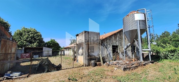 Tondela, Viseu