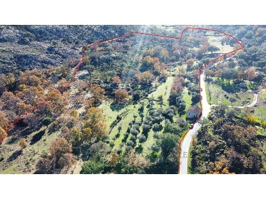 Quinta à venda em Santo António das Areias