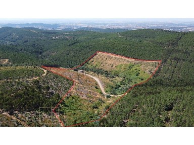 Quinta à venda em Alegrete