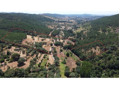 Quinta à venda em Alegrete