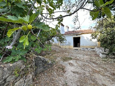 Herdade à venda na Avenida Engenheiro e Benemérito Domingos Baptista Tavares, 6