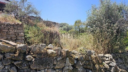 Elvas, Portalegre