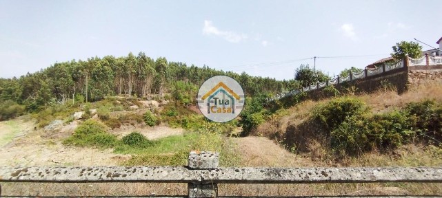 Santa Comba Dão, Viseu