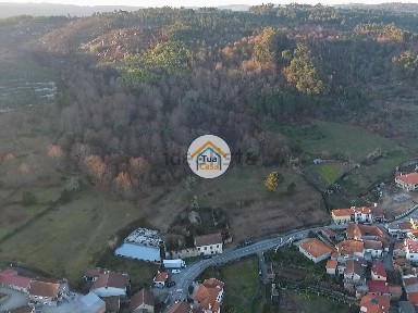 Viseu