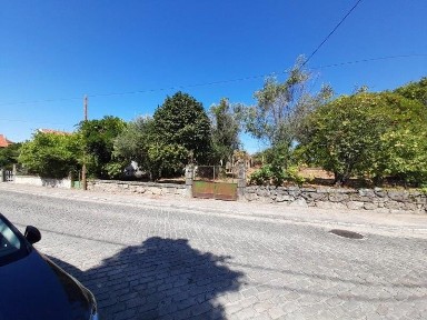 Oliveira do Conde, Avenida da estação, Gare