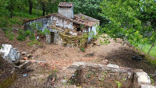 Quinta à venda em São Salvador da Aramenha