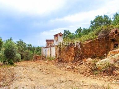 Quinta à venda em Alegrete