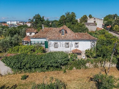 Canas de Senhorim, Rua da Tapada