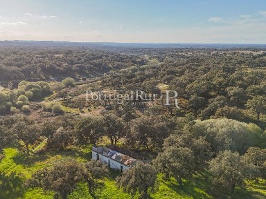 Herdade à venda em Ponte de Sor