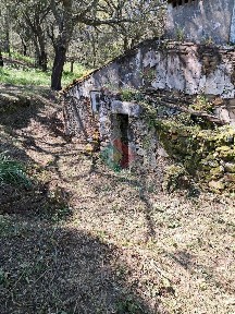 Quinta à venda em São Salvador da Aramenha