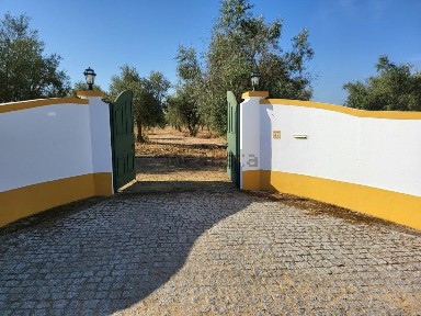 Avis, Portalegre