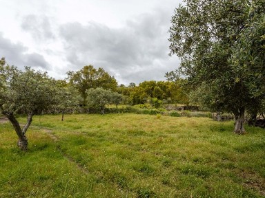 Herdade à venda em Santo António das Areias