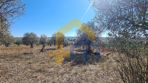 Quinta à venda em Santo Aleixo