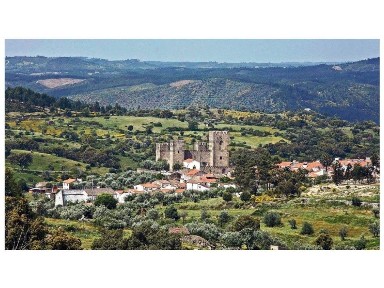 Quinta à venda em Amieira do Tejo