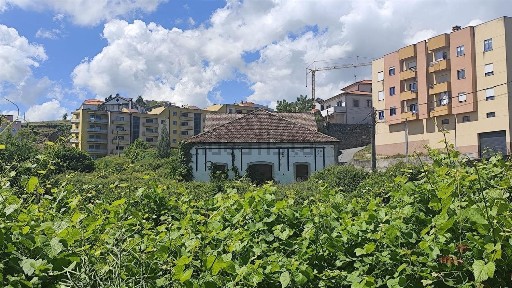 Lamego, Viseu