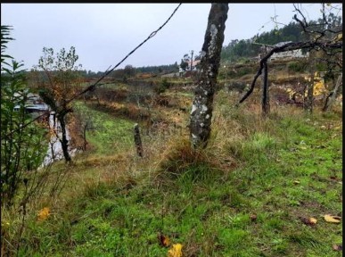 Quinta à venda em Val do chão