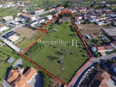 Quinta à venda no Centro