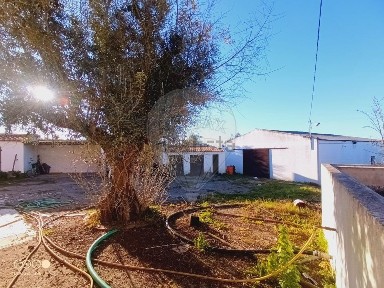 Quinta à venda em Benavila