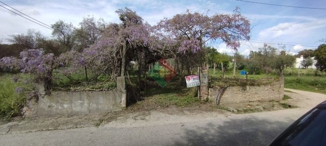 Quinta ou casa rústica à venda em Ponte de Sor