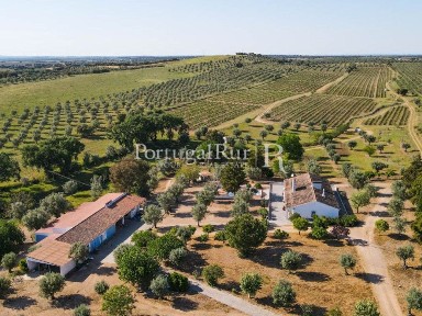 Herdade à venda em Avis