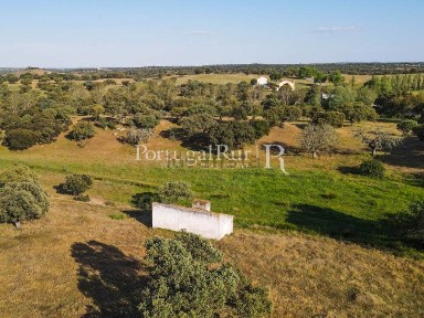 Herdade à venda em Ervedal