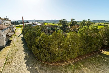 Sousel, Portalegre