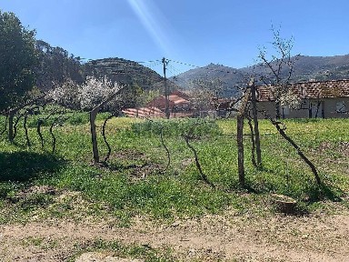 Cinfães, Viseu