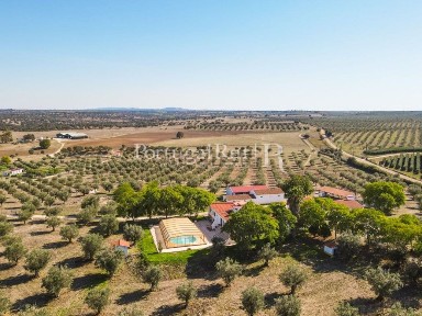 Herdade à venda em Avis