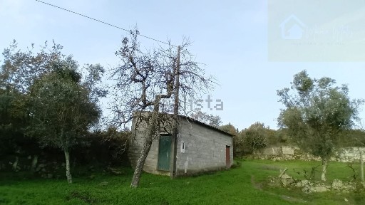 Mangualde, Viseu