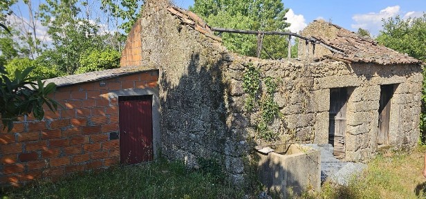 Santa Comba Dão, Viseu