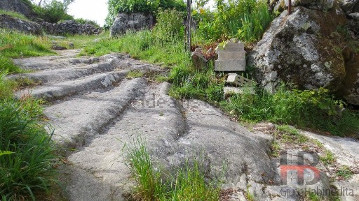 Oliveira de Frades, Viseu