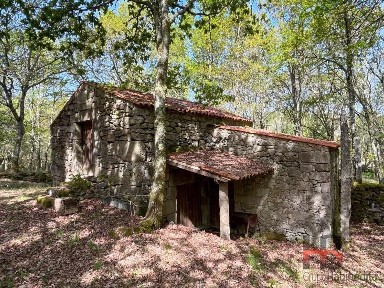 Vouzela, Viseu