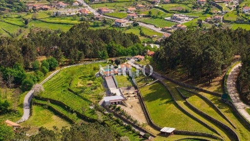 Cinfães, Viseu