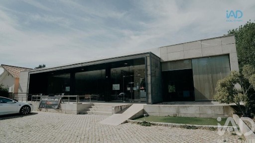 Moimenta da Beira, Viseu