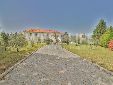 São Pedro do Sul, Viseu