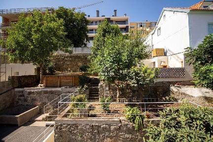 Viseu