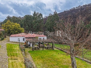 Herdade à venda em Moimenta da Beira