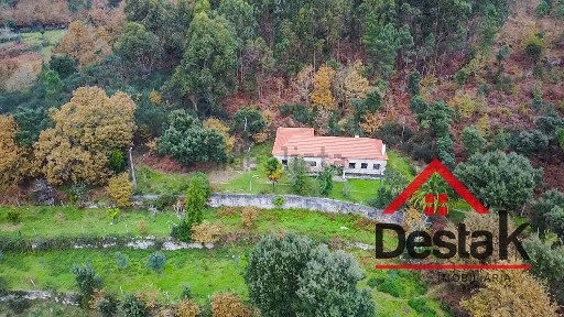 São Pedro do Sul, Viseu