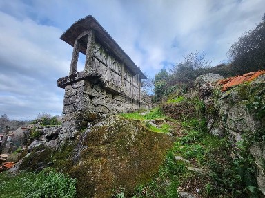 Alcofra, Farves