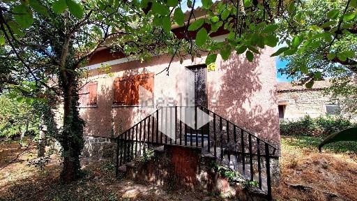 Tondela, Viseu