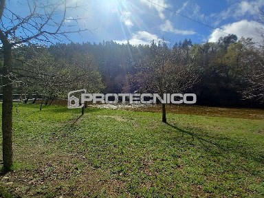Oliveira de Frades, Viseu