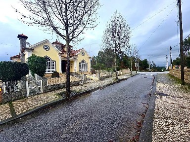 Oliveira do Conde, Rua Afonso Marques