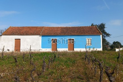 Quinta à venda no Beco à Volta de Alcaria s/n