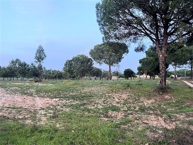Grândola, Setúbal