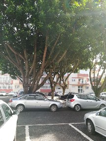 Arrendamento de apartamento T1 em Figueirinha - Augusto Castro