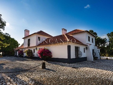 Quinta à venda em Santo Estevão